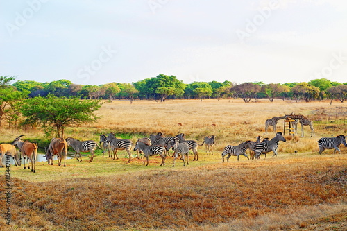 Zimbabwe wildlife and nature