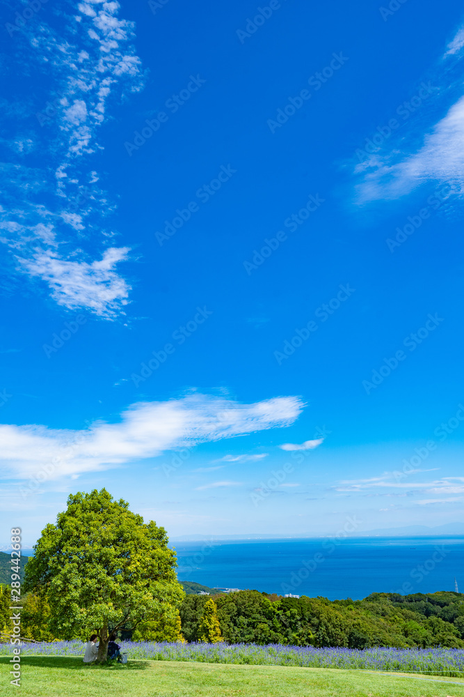 Landscape of Awaji Hanasajiki Park Landscape of Awaji Hanasajiki Park