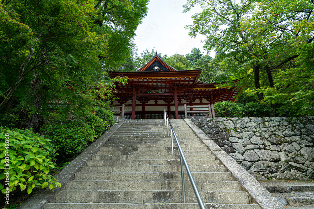 The shrines in Nara