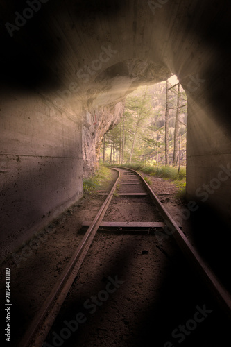 Ancient railway tunnel in the woods