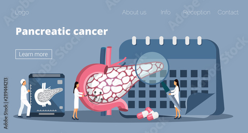 Pancreas cancer doctors treat. Tiny therapist looks through a magnifying glass and make ultrasound or x ray scan