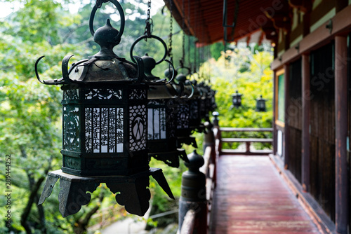 The shrines in Nara photo