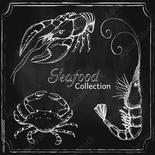 vector chalkboard seafood menu background. hand drawn blackboard seafood collection. background template with different sea animals on chalkboard design for shop, restaurant, menu, poster, banner.