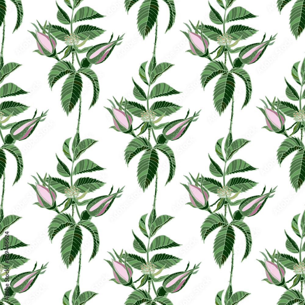 Seamless pattern with light pink buds of roses with leaves on the white background. Seamless pattern with light pink buds of roses with leaves on the white background.