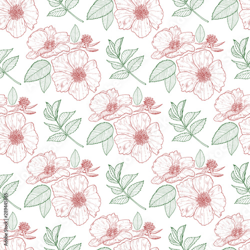 Floral seamless background with wild roses and leaves on the white background. Endless texture for design.