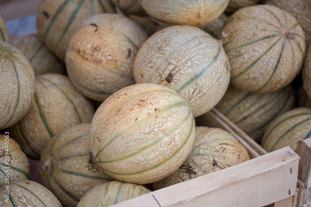 melons melons