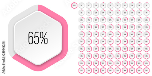 Set of hexagon percentage diagrams meters from 0 to 100 ready-to-use for web design, user interface UI or infographic - indicator with pink