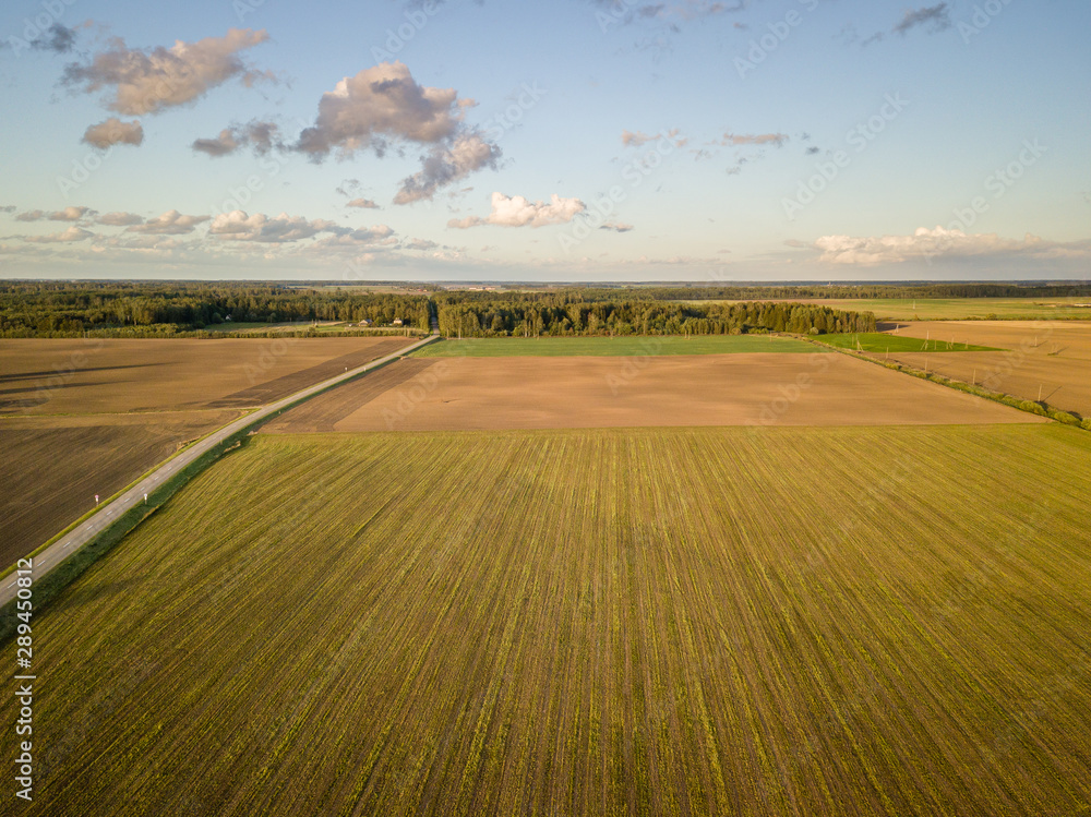 Aerial view of agricultural fields in early autumn with forest in background