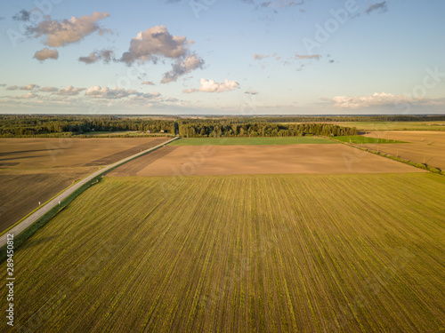 Aerial view of agricultural fields in early autumn with forest in background