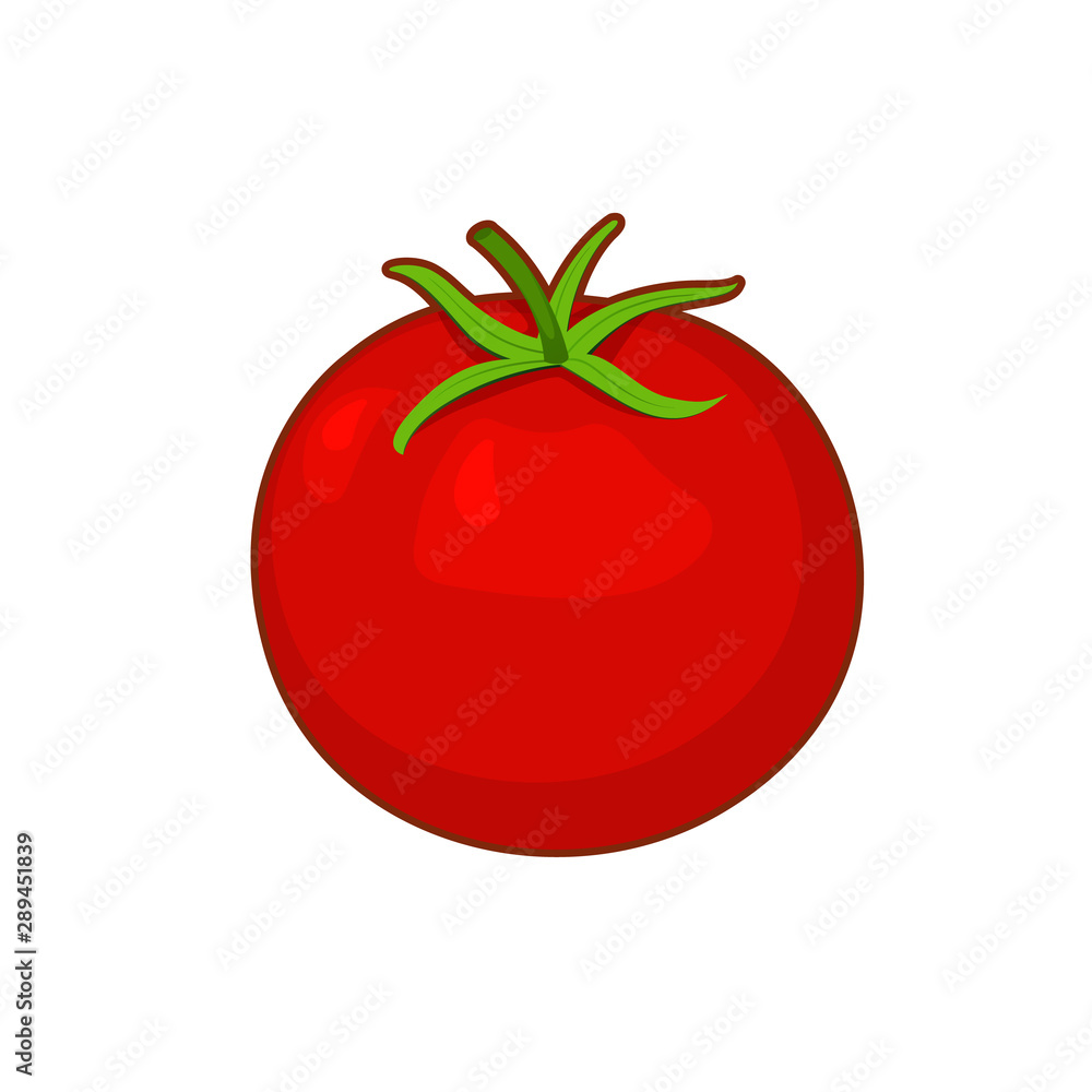 Vector illustration of cartoon tomato Vector illustration of cartoon tomato