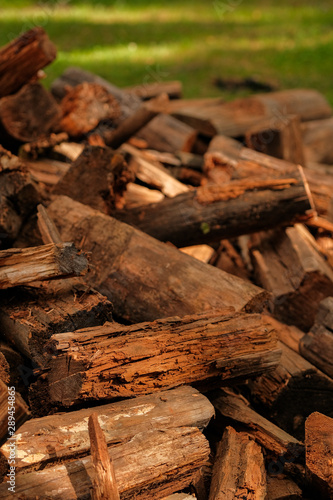 Dry chopped firewood logs in a pile.A pile of firewood in the forest. Firewood in a forest glade. Firewood recycling.