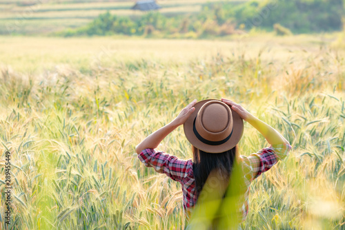 Rear view young happy smart asian woman farmer in plaid shirt working and looking away far from her barley wheat field farmland under sunlight at sunset. Harvesting agriculture and plantation concept