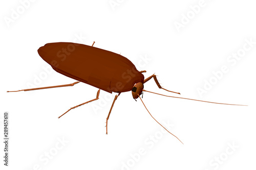 Polygonal brown cockroach with a large mustache. View isometric. 3D. Vector illustration.