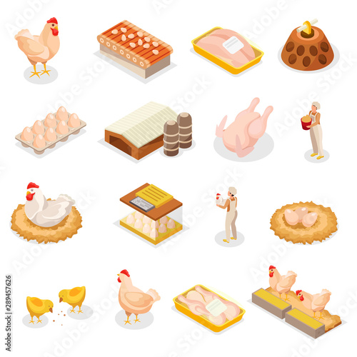 Isometric Chicken Icon Set