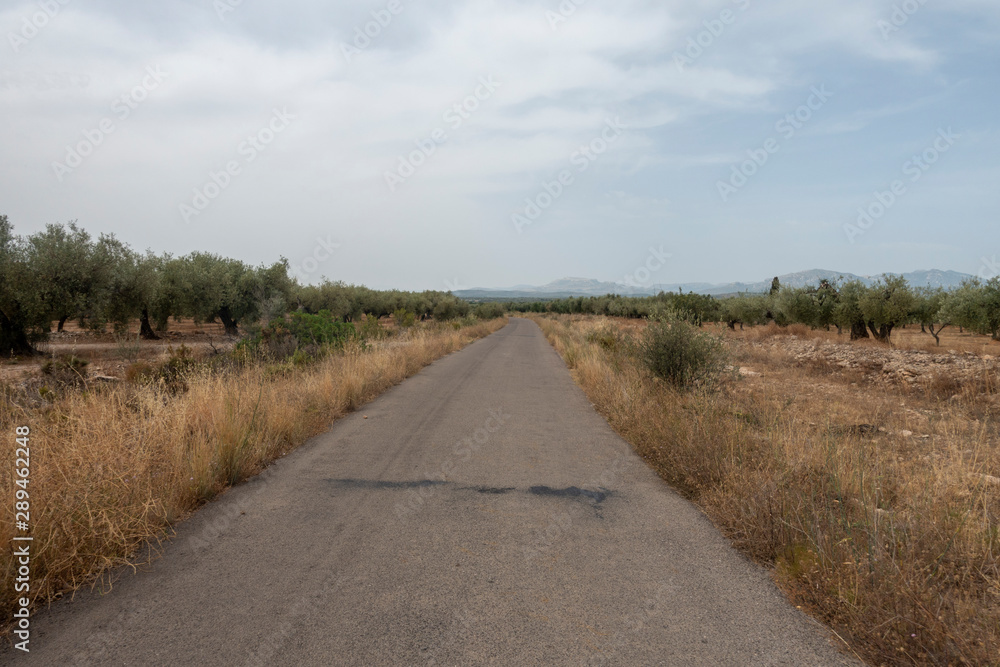 The august road as it passes through the senia The august road as it passes through the senia