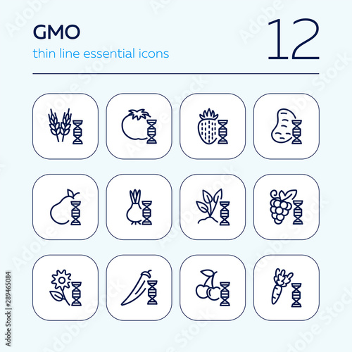 Genetically modified food line icon set. Gene, grain, fruit, vegetables. Food concept. Can be used for topics like genetics, agriculture, GM food