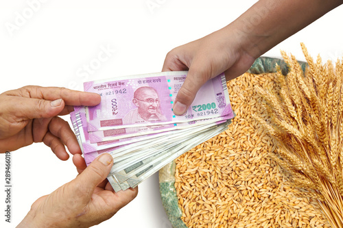 Indian cash money changing hands between a buyer and farmer