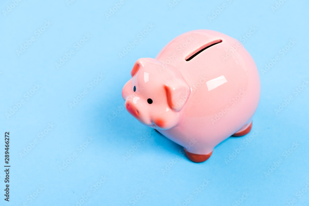 Finances and investments bank. Bank deposit. More ideas for your money. Financial education. Piggy bank symbol of money savings. Piggy bank adorable pink pig close up. Accounting and family budget