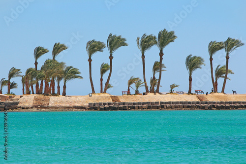 Fototapeta Naklejka Na Ścianę i Meble -  View of tropical resort with palm trees sand and sandy beach. Paradise rest on seashore of Red sea