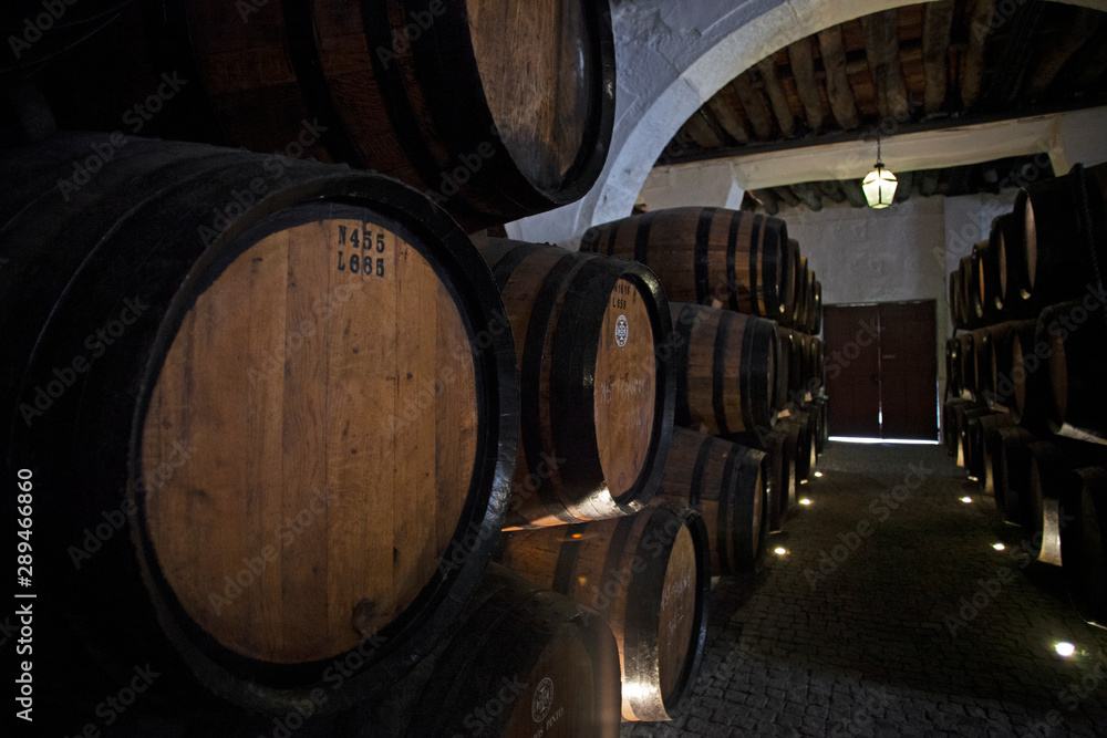 Cave de vin, chai de barriques et foudres de Porto rouge et blanc, Portugal