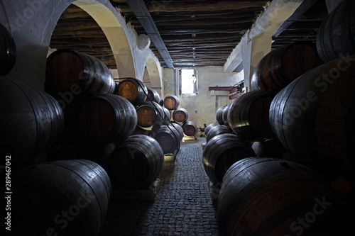 Bild auf Leinwand Cave de vin, chai de barriques et foudres de Porto rouge et blanc, Portugal