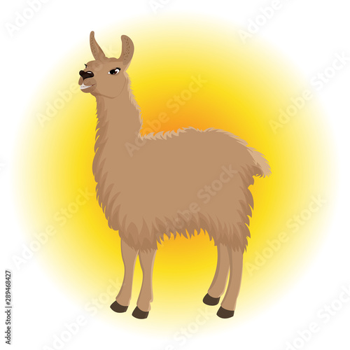 Cute cartoon llama of brown color against the background of the rising sun. Vector illustration.