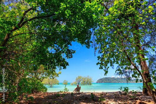 Idyllic tropical beach