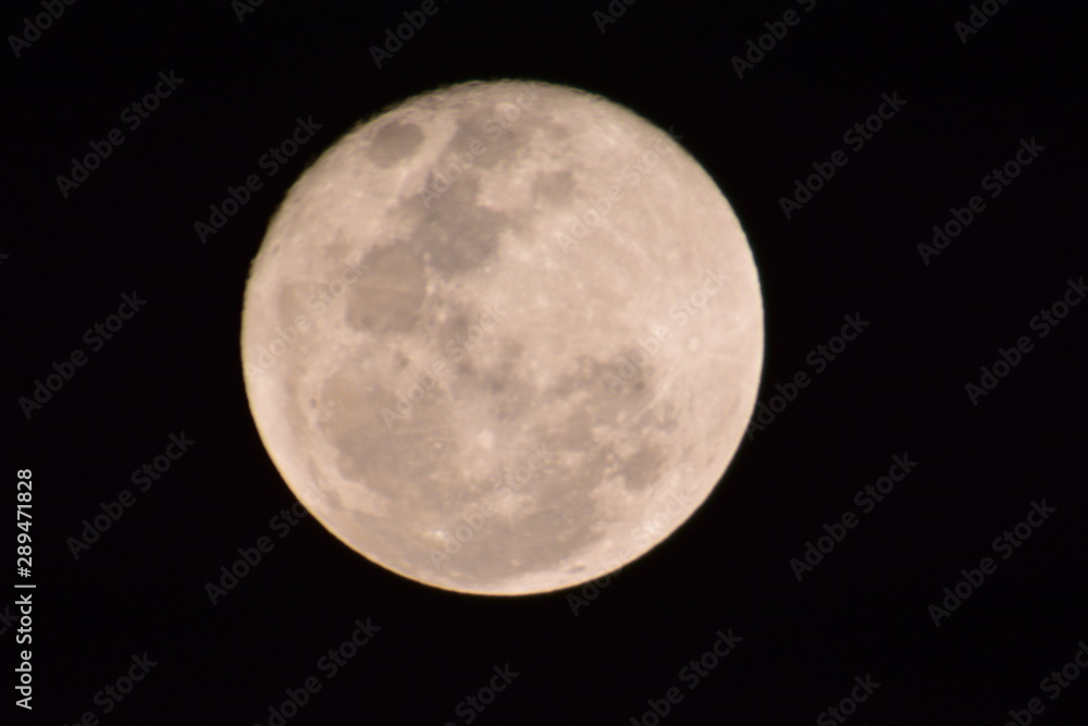 Obraz premium Miesiąc