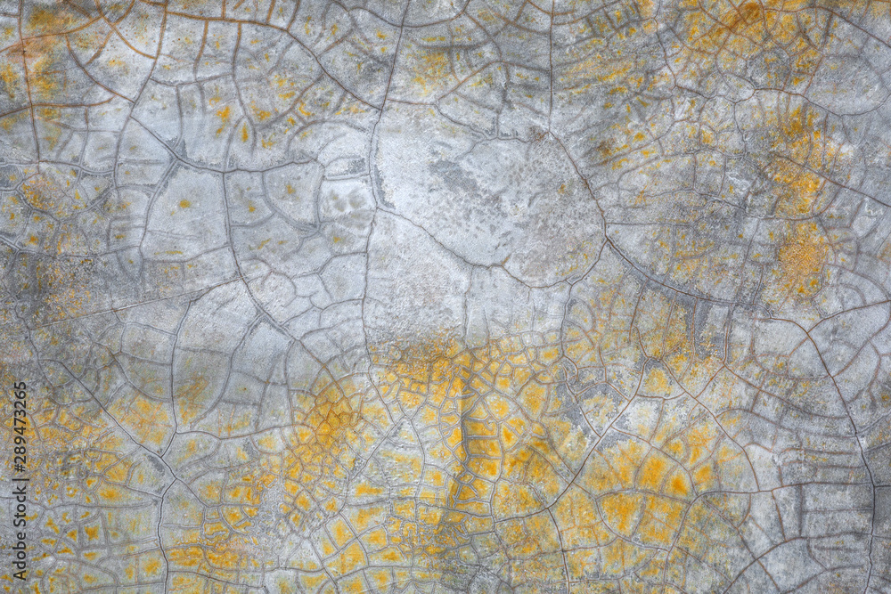 Pattern and color on the cement wall.