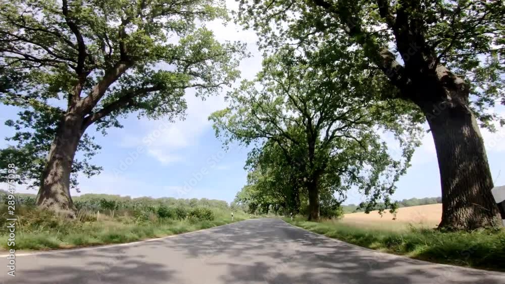 Drivers View - Driving on a rural road in the northern germany. 4K Video footage Drivers View - Driving on a rural road in the northern germany. 4K Video footage