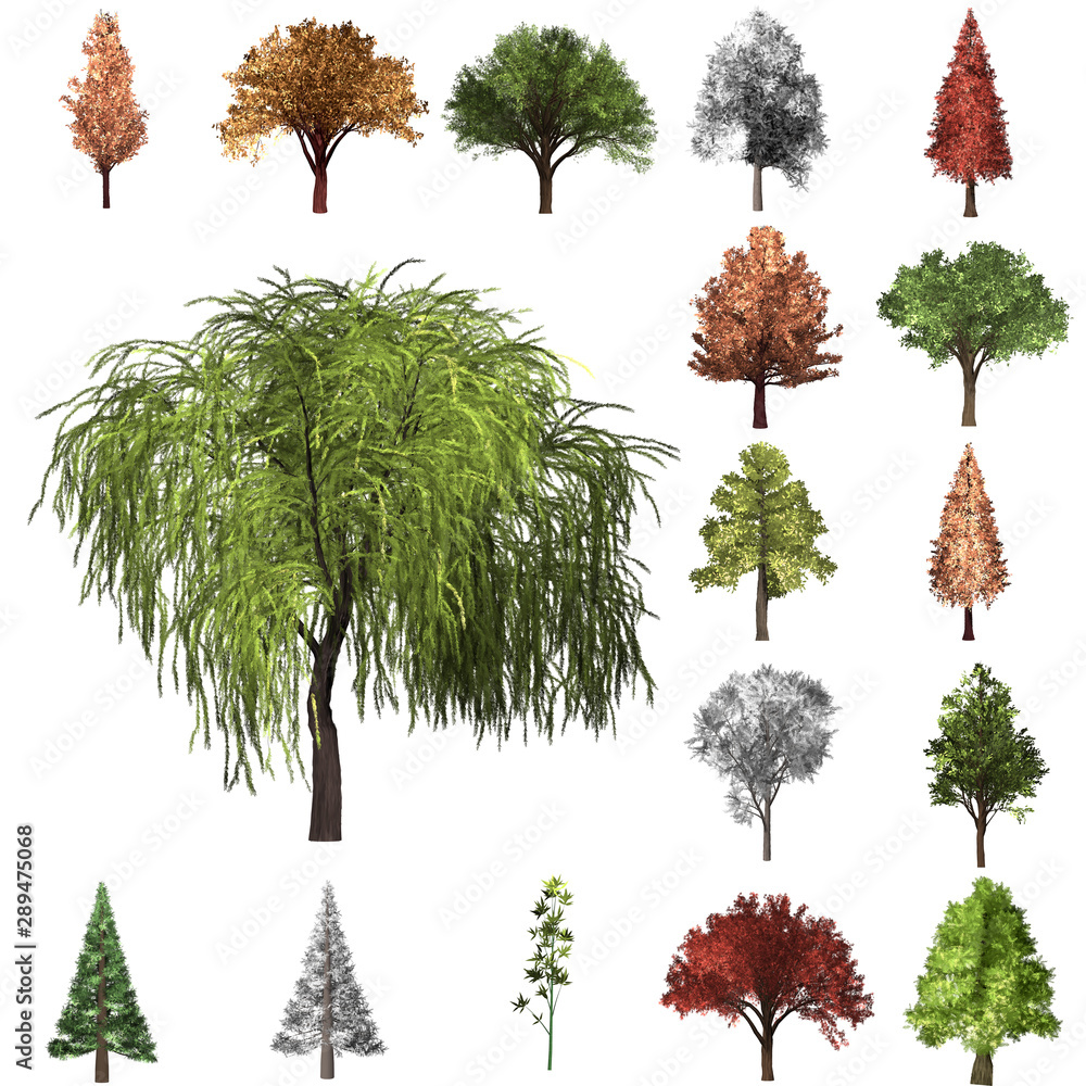 Fototapeta premium Tree correction design set. 3D Illustration. White background isolate. Nature and Gardens design.