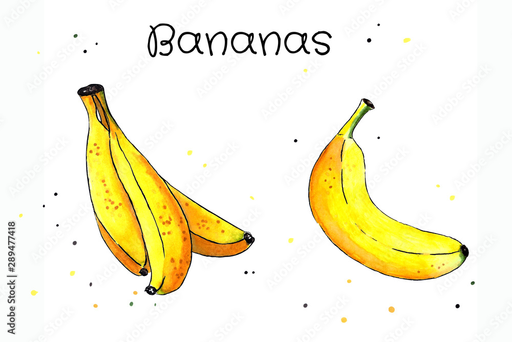 Set of bananas on white background. Hand draw illustration. Markers drawing