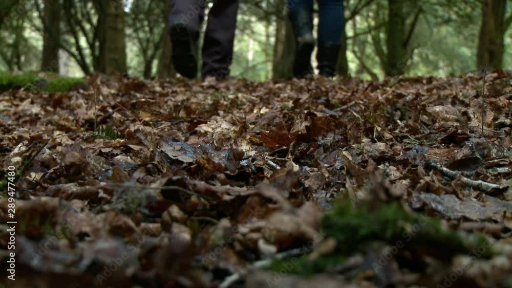 Ground level close up of shoes walking across damp leaves in the forest, as people walk away from the camera Ground level close up of shoes walking across damp leaves in the forest, as people walk away from the camera
