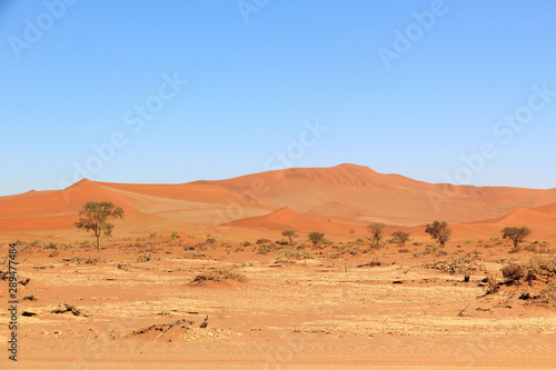 Red sand dunes, Sossusvlei, Namib Naukluft Park, Namibia