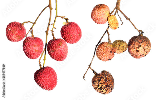 Ripe fresh lychee fruits and damaged by Scale insect, hemispherical scale, helmet scale or coffee brown scale, Saissetia coffeae (Hemiptera: Coccidae). Isolated on a white background photo