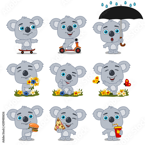 Set of funny koala bears in summer meadow and with fast food, isolated on white background