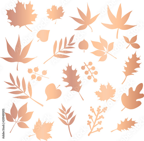Copper foil leaves vector icon set. Foliage nature leaf isolated elements. Metallic rose gold floral design for elegant decor, invitation, wedding, celebration, cards, decor, autumn, Thanksgiving
