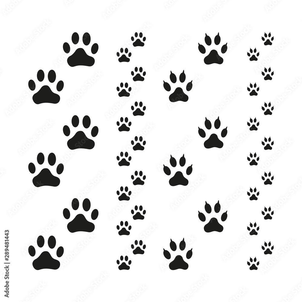 Dog and Cat Paw Print vector illustration. Dog and Cat Paw Print vector illustration.