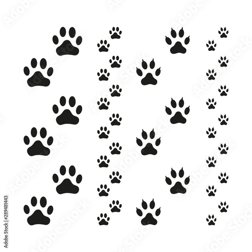Dog and Cat Paw Print vector illustration.