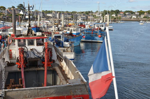 Goémoniers de l'Abert-Ildut, Finistère, Brittany, France photo