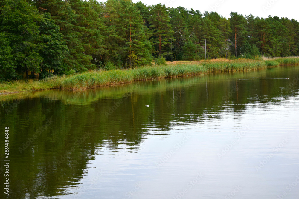 reflection of green trees on the shore of lakerailway in the mountains