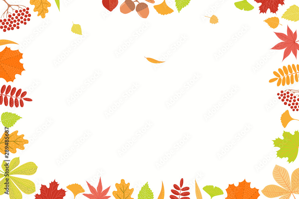 Hand drawn frame of colorful autumn leaves on white background. Rowan, maple, oak, chestnut, birch, ginkgo, momiji. Vector illustration. Flat style design. Concept, element season poster, banner. Hand drawn frame of colorful autumn leaves on white background. Rowan, maple, oak, chestnut, birch, ginkgo, momiji. Vector illustration. Flat style design. Concept, element season poster, banner.