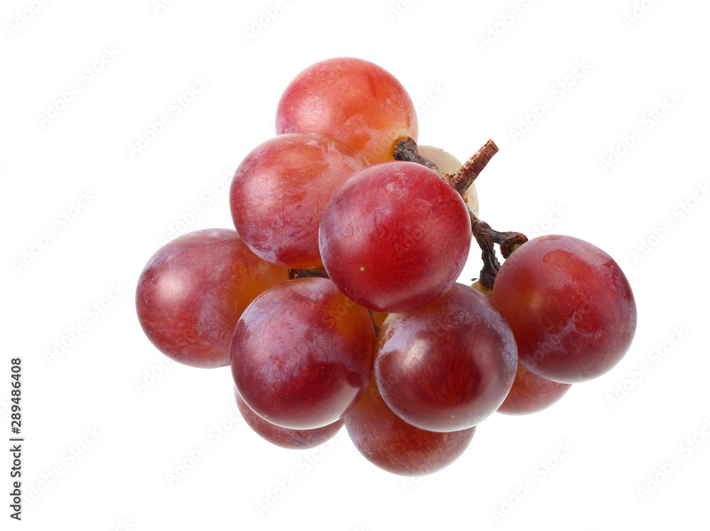 blue grapes berries isolated on white background. macro blue grapes berries isolated on white background. macro