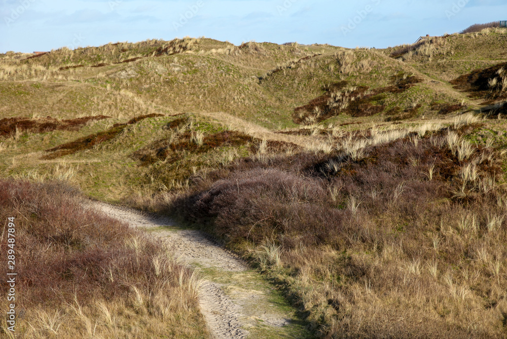 Dunes on the island of Langeoog