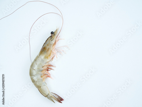 Fresh shrimp on white background © jittima