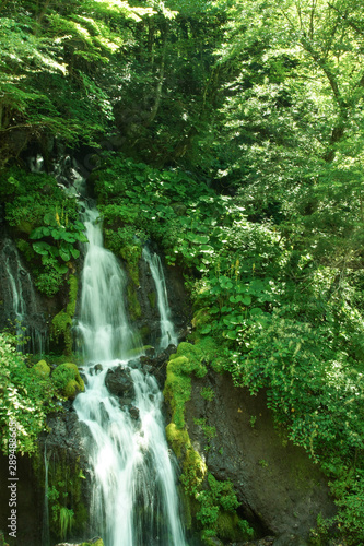 Fototapeta Naklejka Na Ścianę i Meble -  Beautiful waterfall in Japan