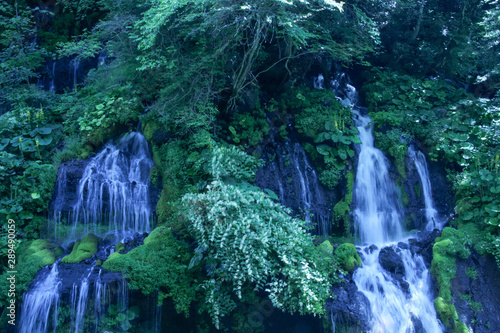 Beautiful waterfall in Japan