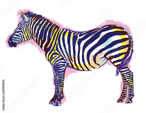 Zebra pattern markers. Pop Art. Bright print  colored spots. Freehand drawing. Zebra in full growth.