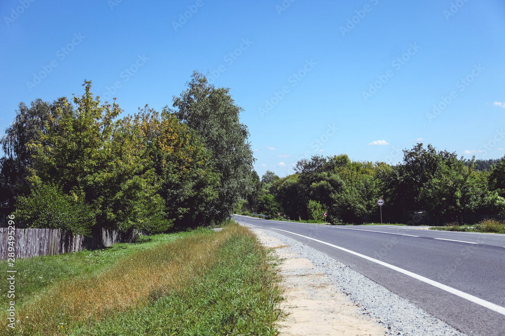 Asphalt road near forest