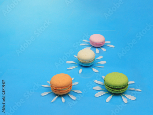 Fototapeta Naklejka Na Ścianę i Meble -  Cute daisy macaroons, colorful French macarons with Chrysanthemum petal flower, delicious sweet dessert on blue background with copyspace, food background concept.